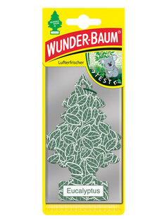 WUNDER-BAUM Eucalyptus